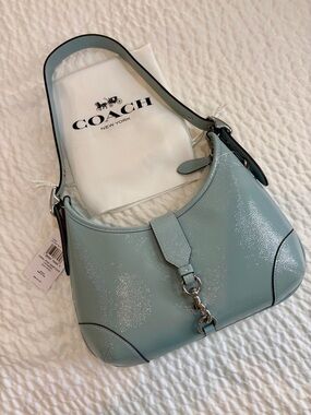 Coach Hamptons Hobo Bag & Coach Dust Bag GORGEOUS 2005 Rendition NWT CAN33